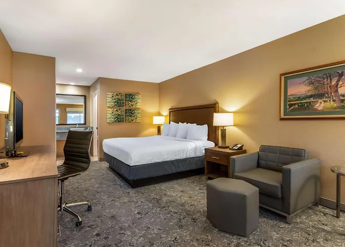 Best Western Plus Inn Scotts Valley